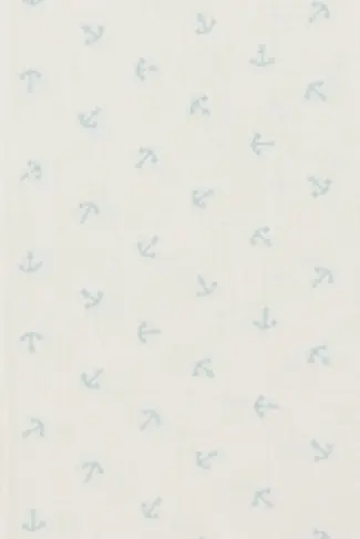 AN60B.jpg